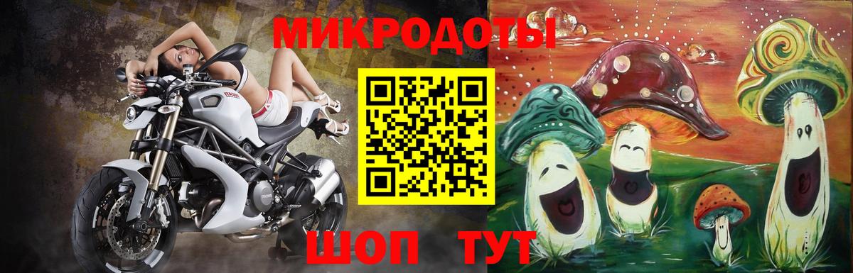 Псилоцибиновые грибы Psilocybine cubensis Тобольск